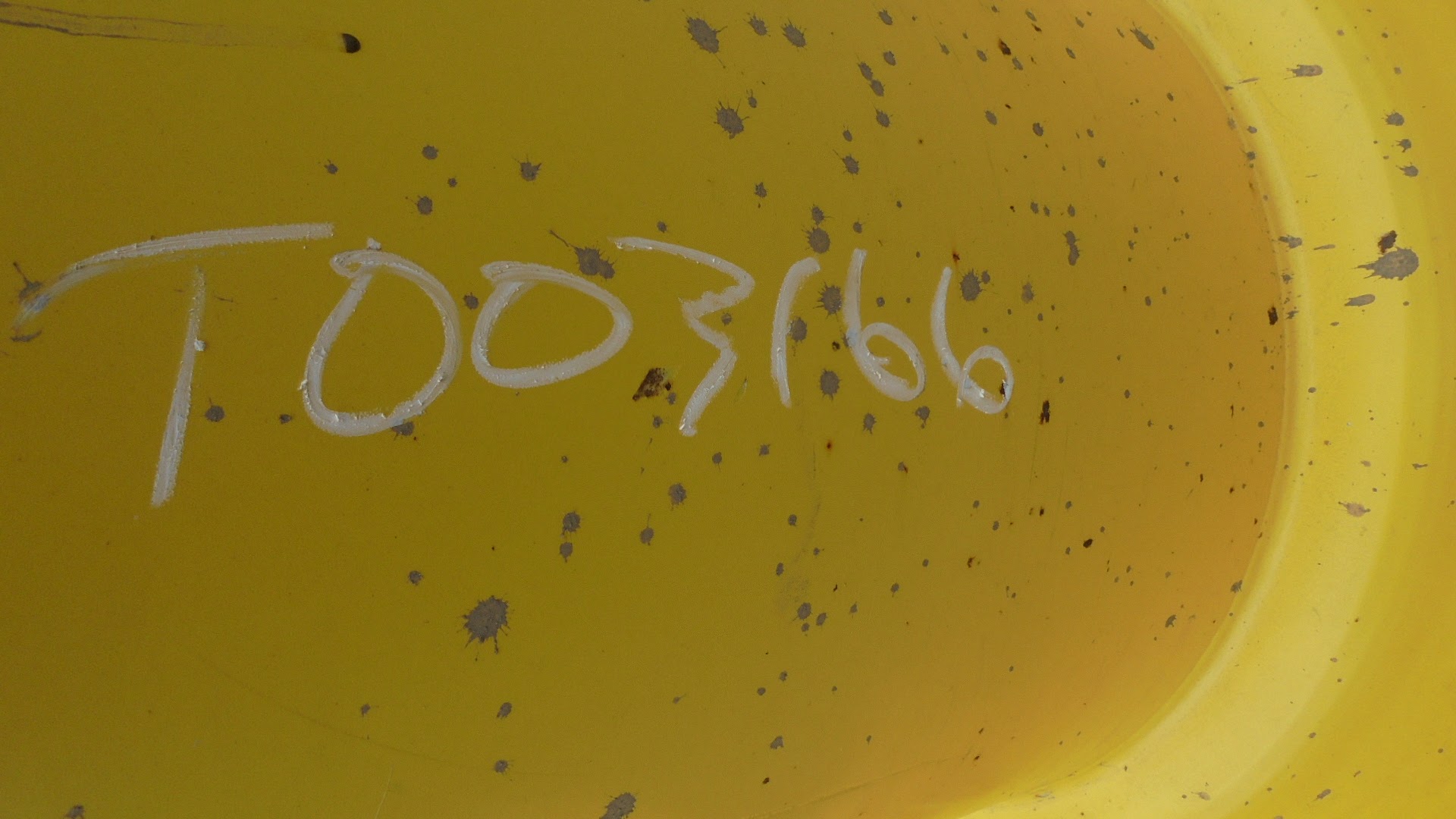 38''D x 10''W FWA Direct Bolt Dual Wheel T003166