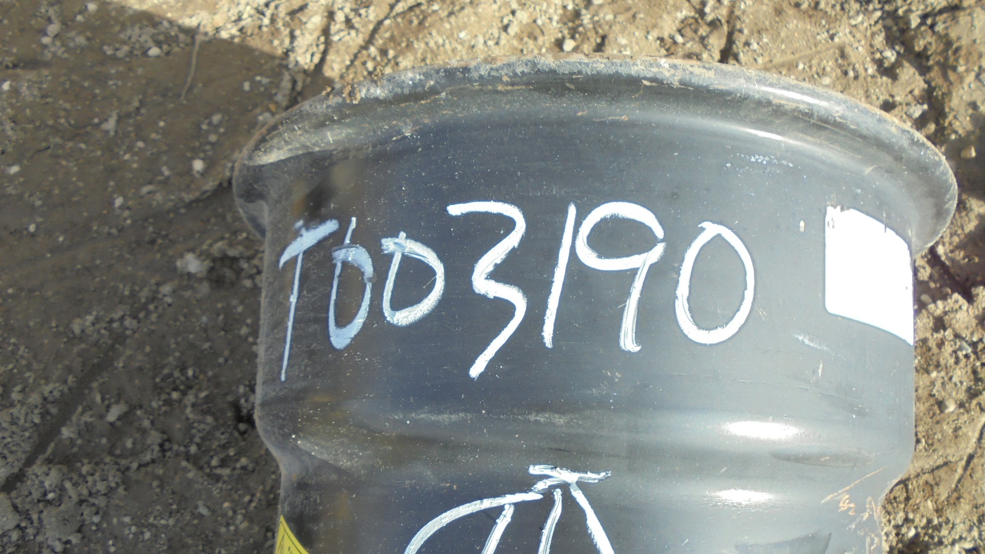 16''D x 16''W Formed Plate Wheel T003190