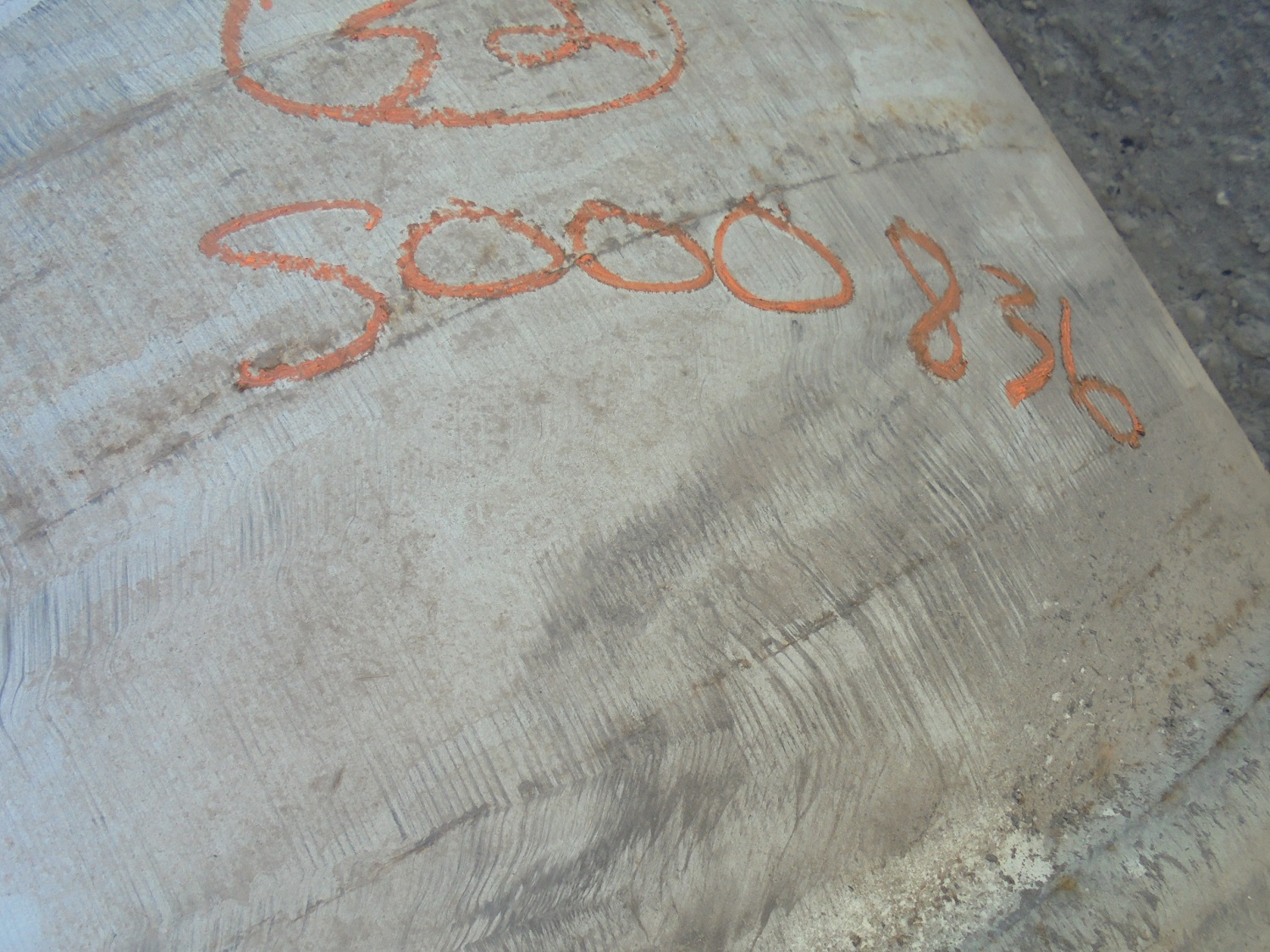 32''D x 27''W Flat Plate Wheel S000836-Z