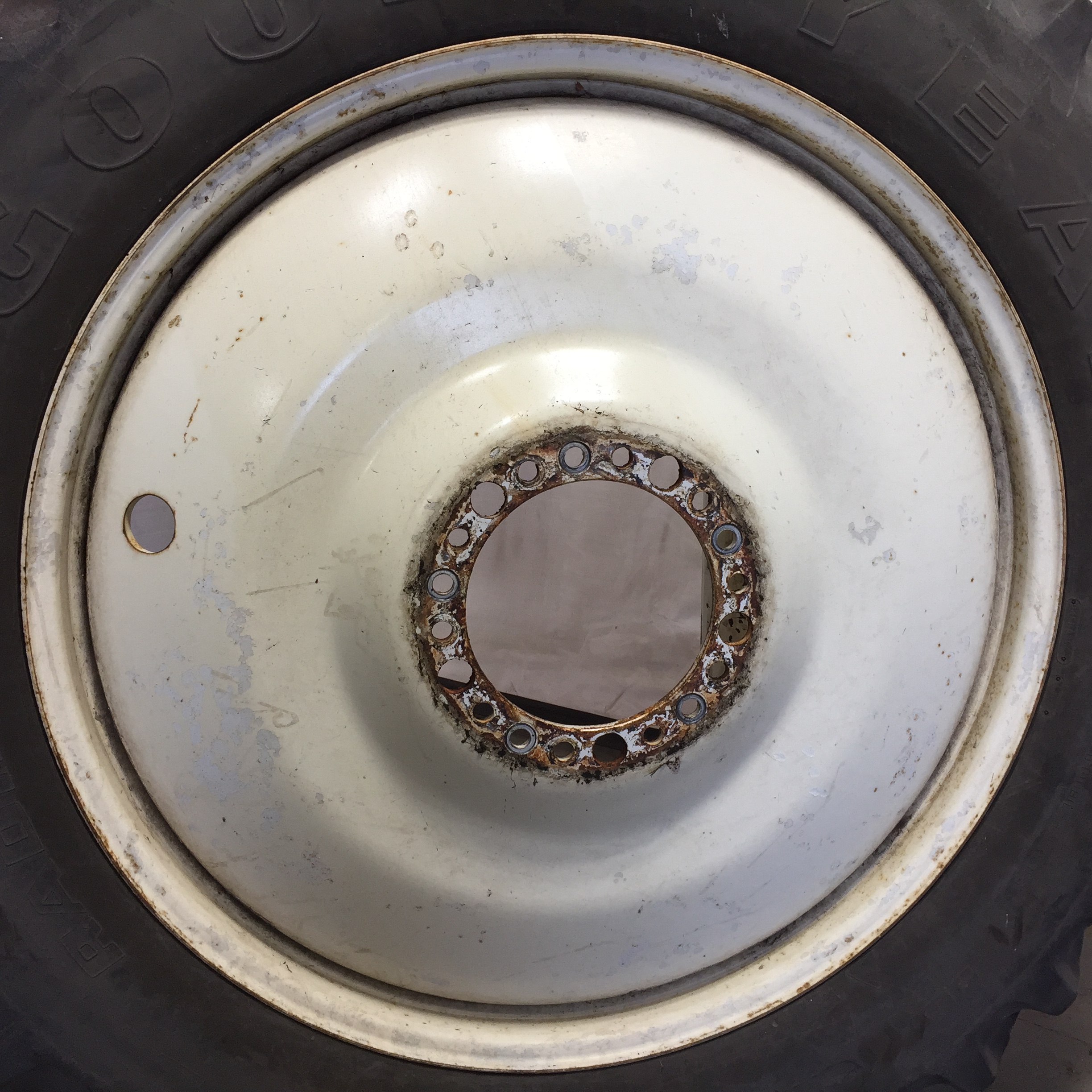 46''D x 12''W Dolly Dual Wheel WT007323