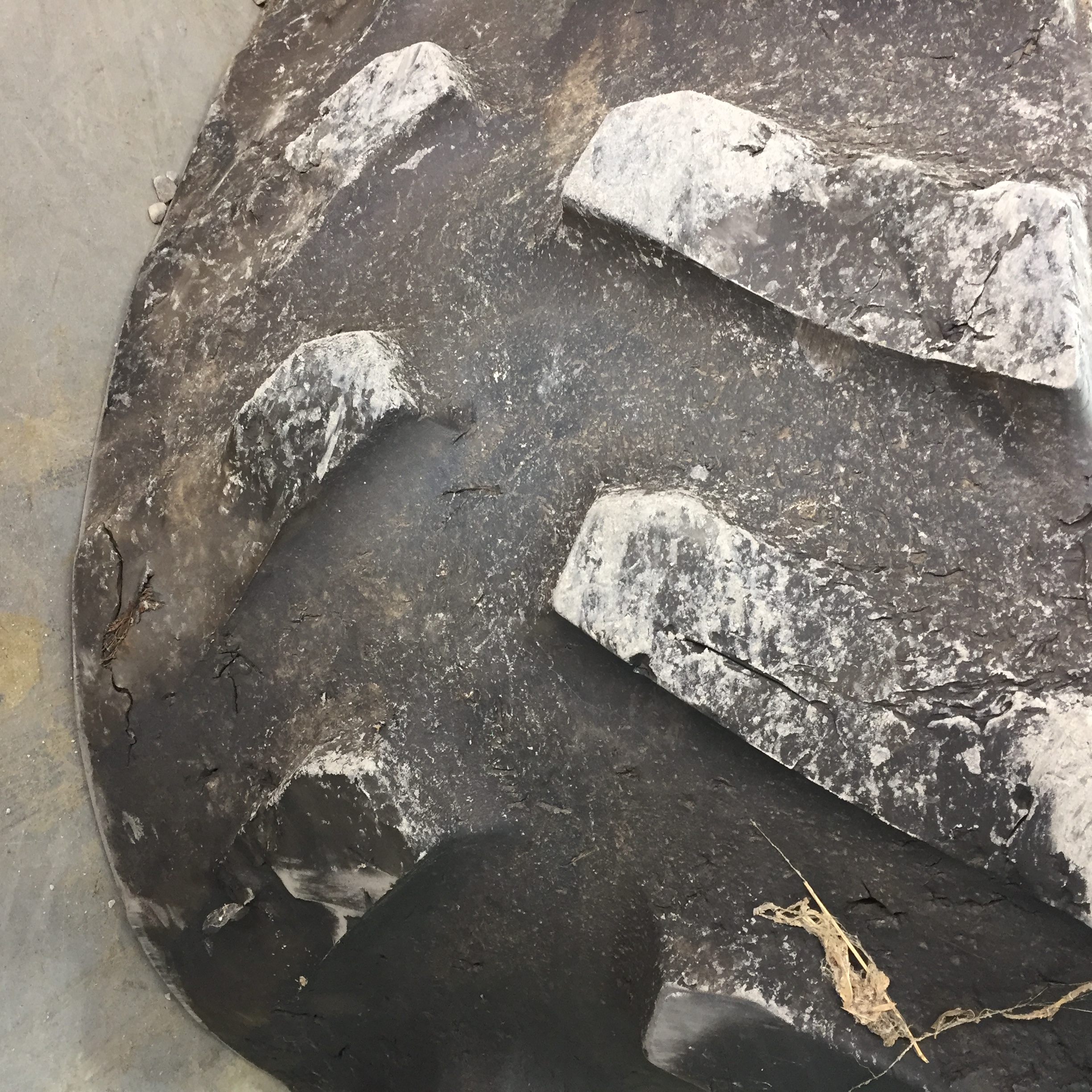 18'' Goodyear Trackman Track for Case IH Rowtrac T007629