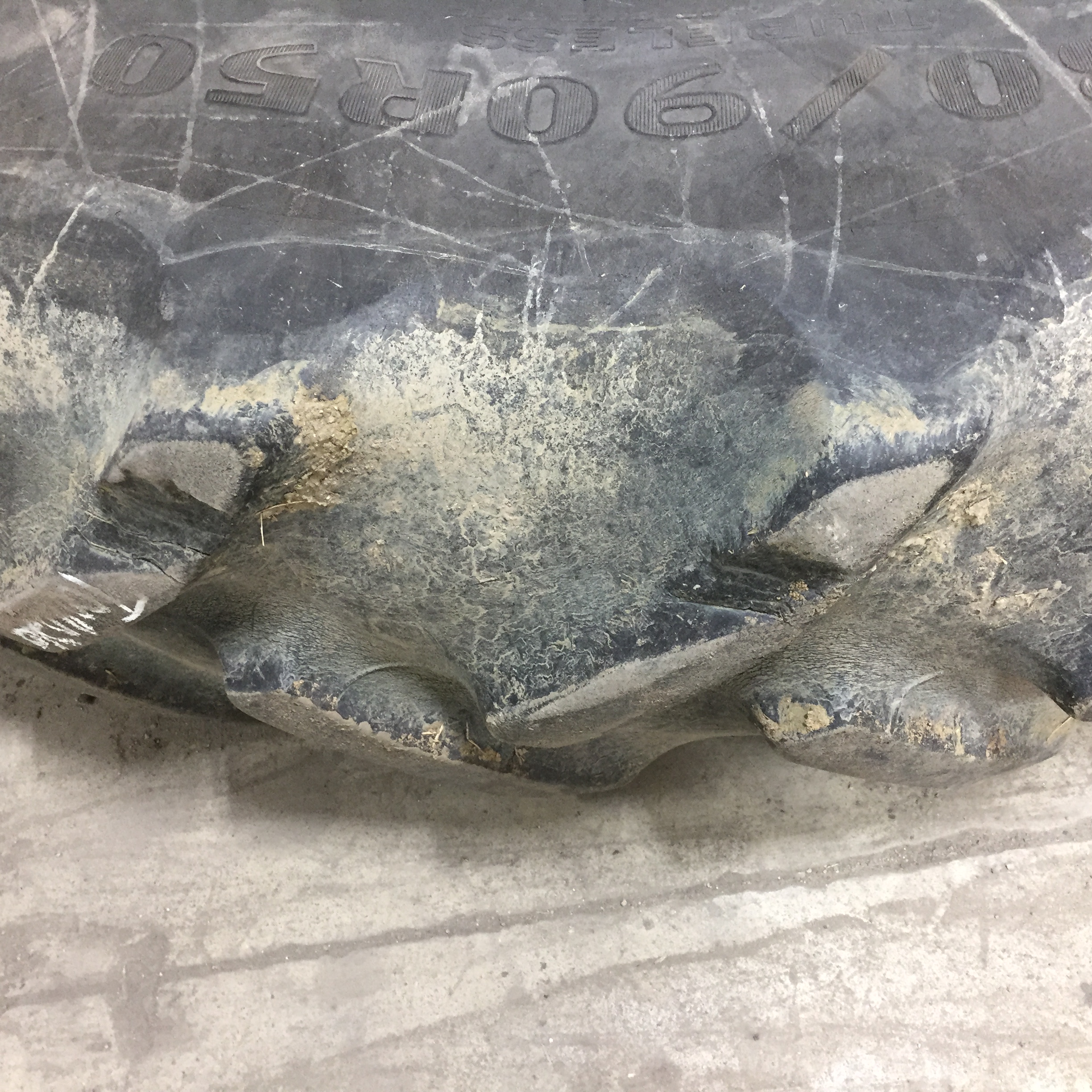 380/90R50 Goodyear Farm DT800 Optitrac R-1W Tire RT008026