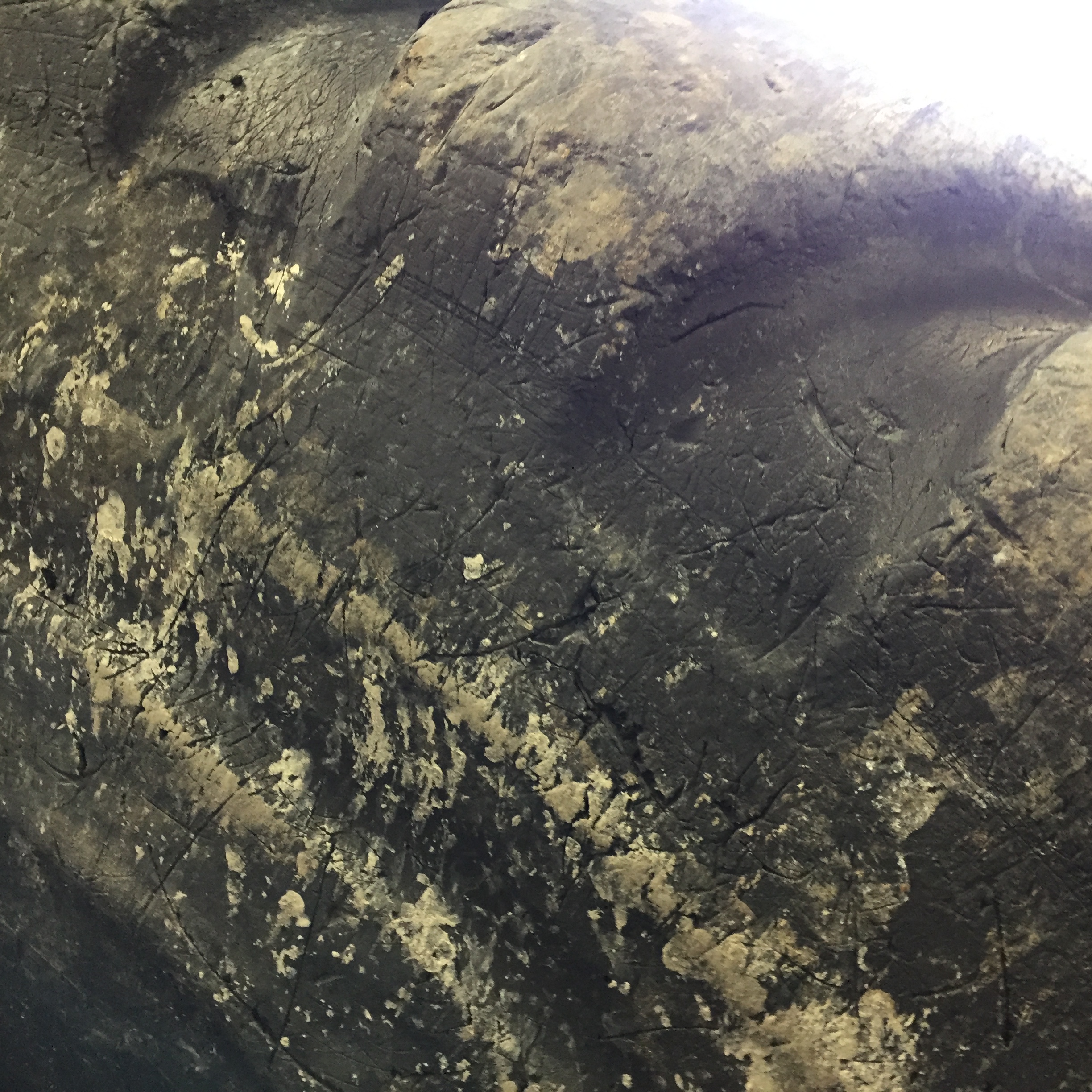 29.5/R25 Bridgestone VLT V-Steel L-Traction E-3/L-3 Tire T008138