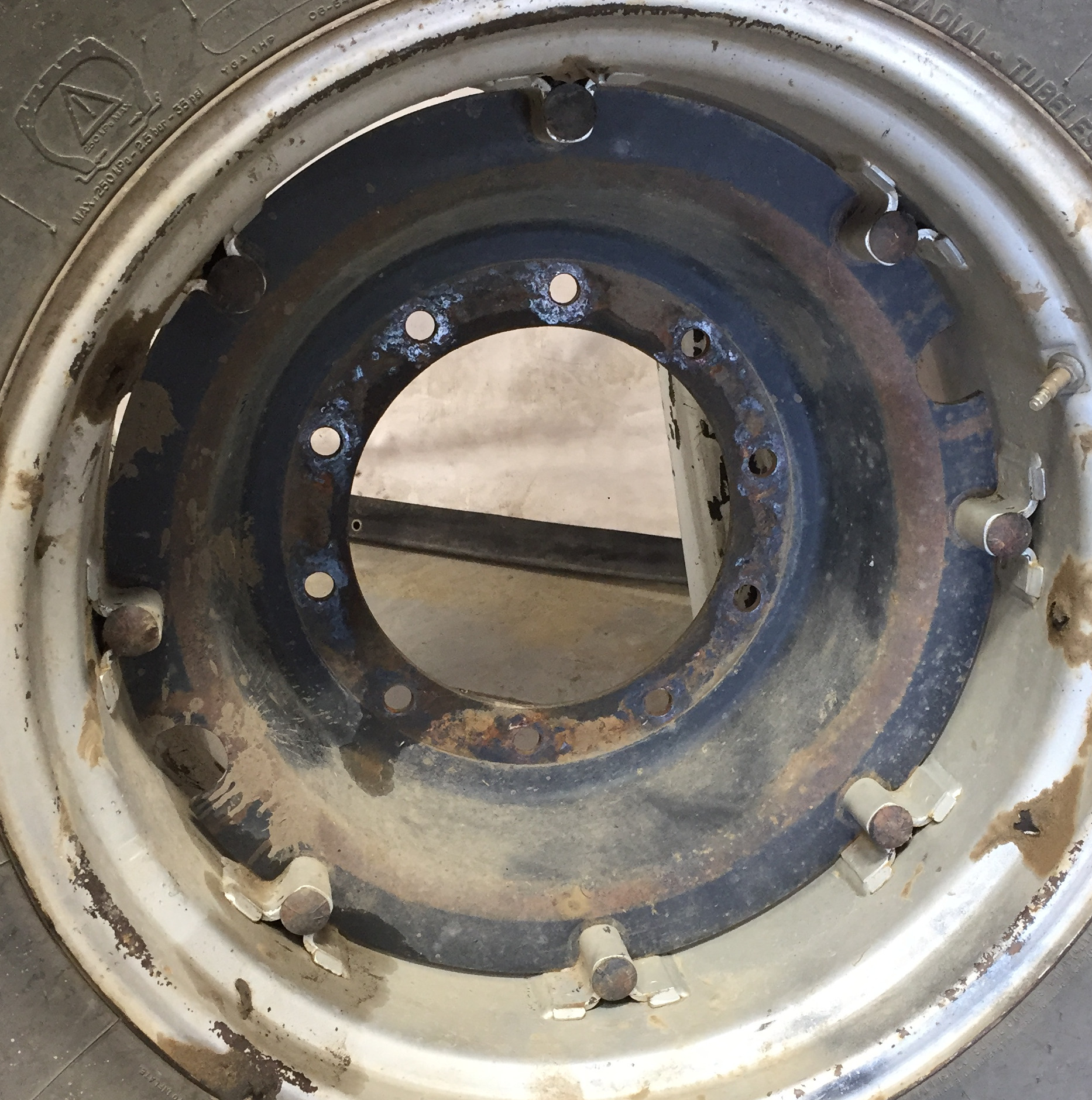 26'' Rim with Clamp/Loop Style Rim Center WT008352CTR