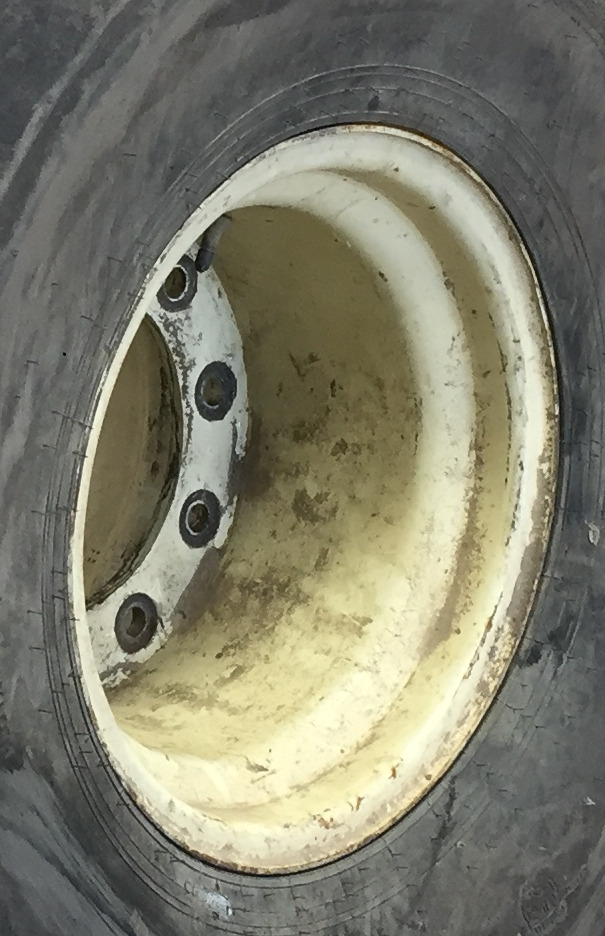 16.1''D x 18''W Flat Plate Wheel WT008447