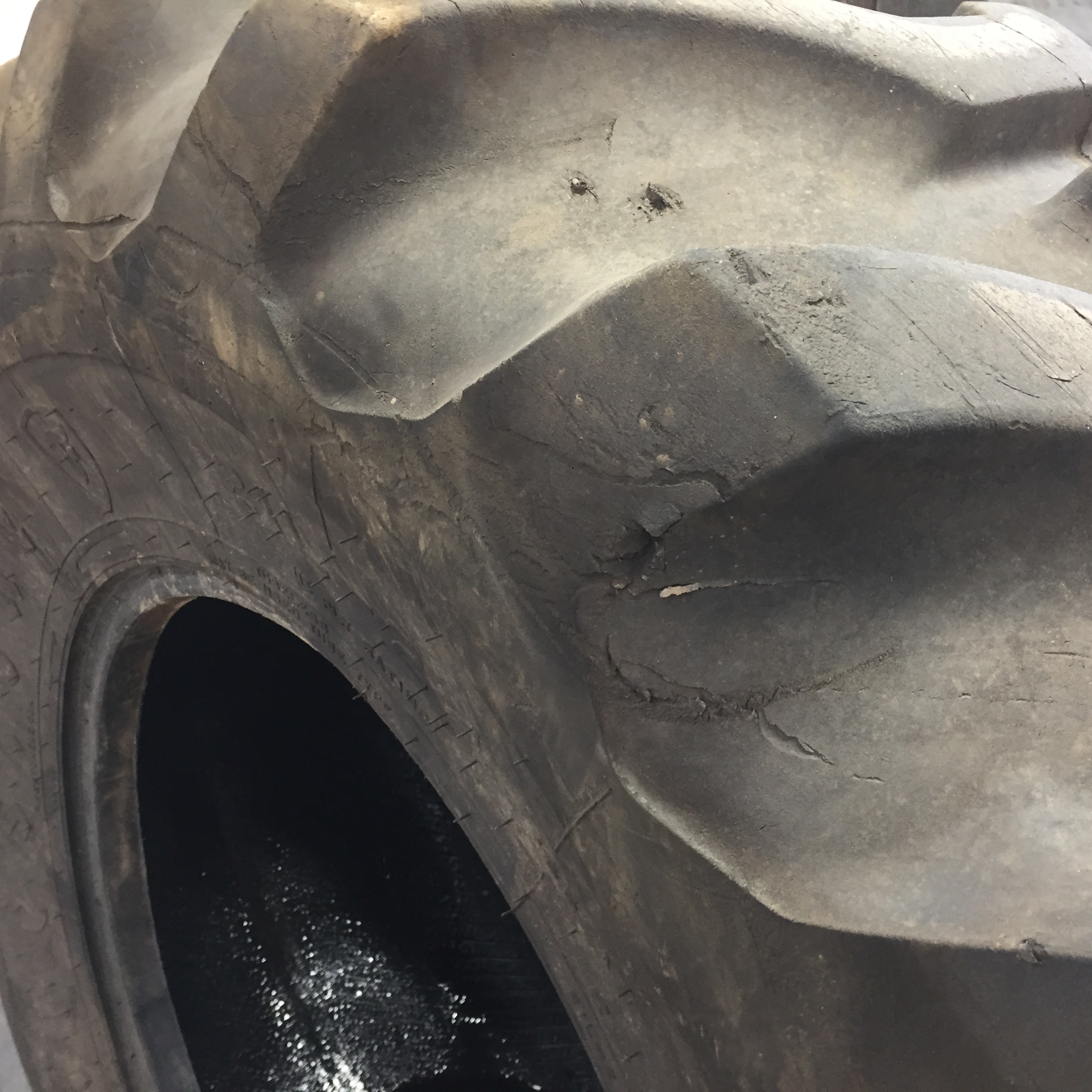 21/L-24 Firestone All Traction Utility R-4 Tire 008089