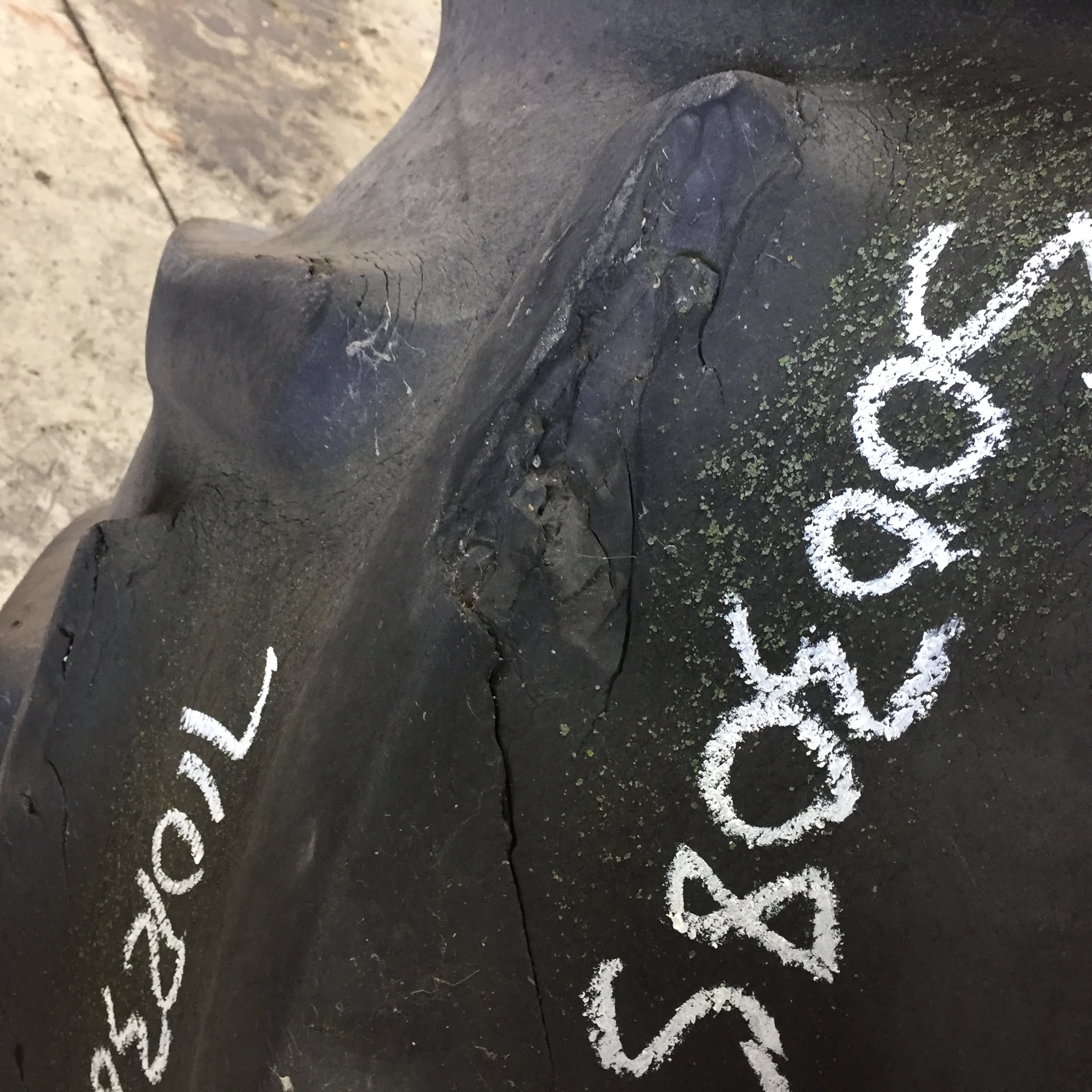 710/70R38 Goodyear Farm DT820 Super Traction R-1W Tire S003085