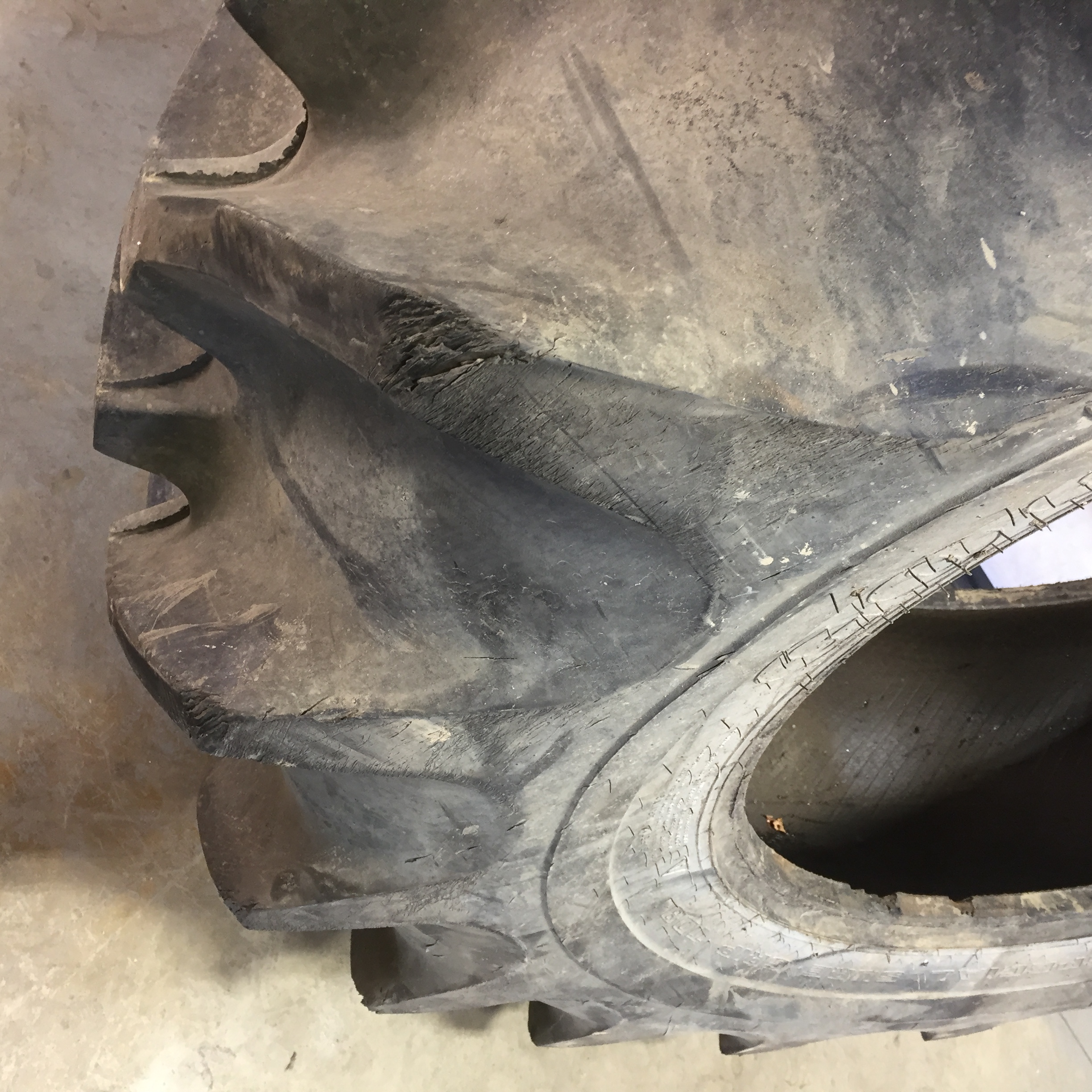 20.8/-38 Goodyear Farm Special Sure Grip TD8 R-2 Tire 008158