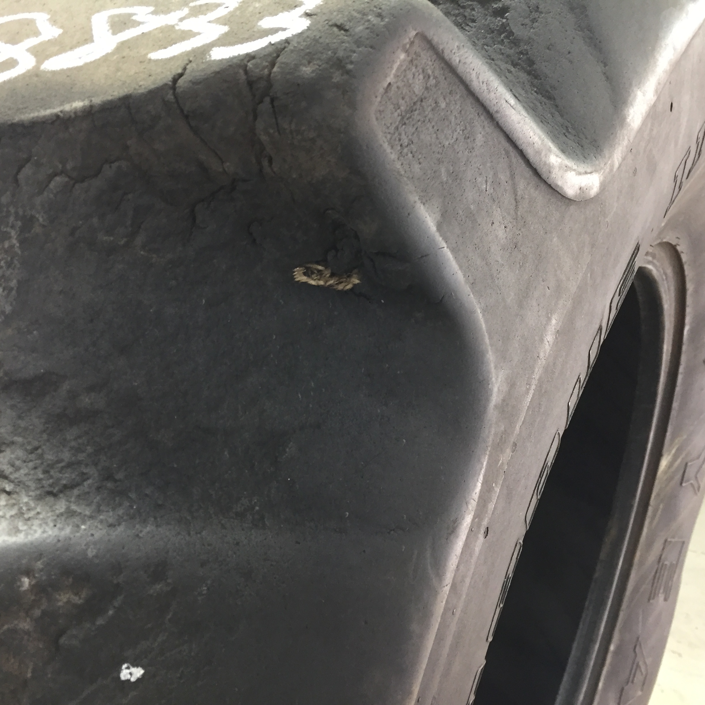 30.5/L-32 Goodyear Farm Dyna Torque II R-1 Tire T008833