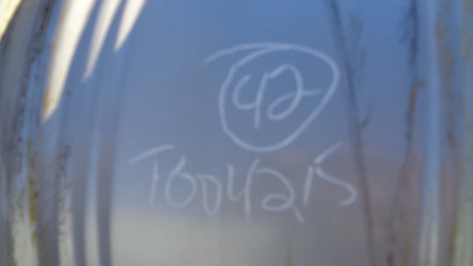 42''D x 23''W Formed Plate Wheel T004215