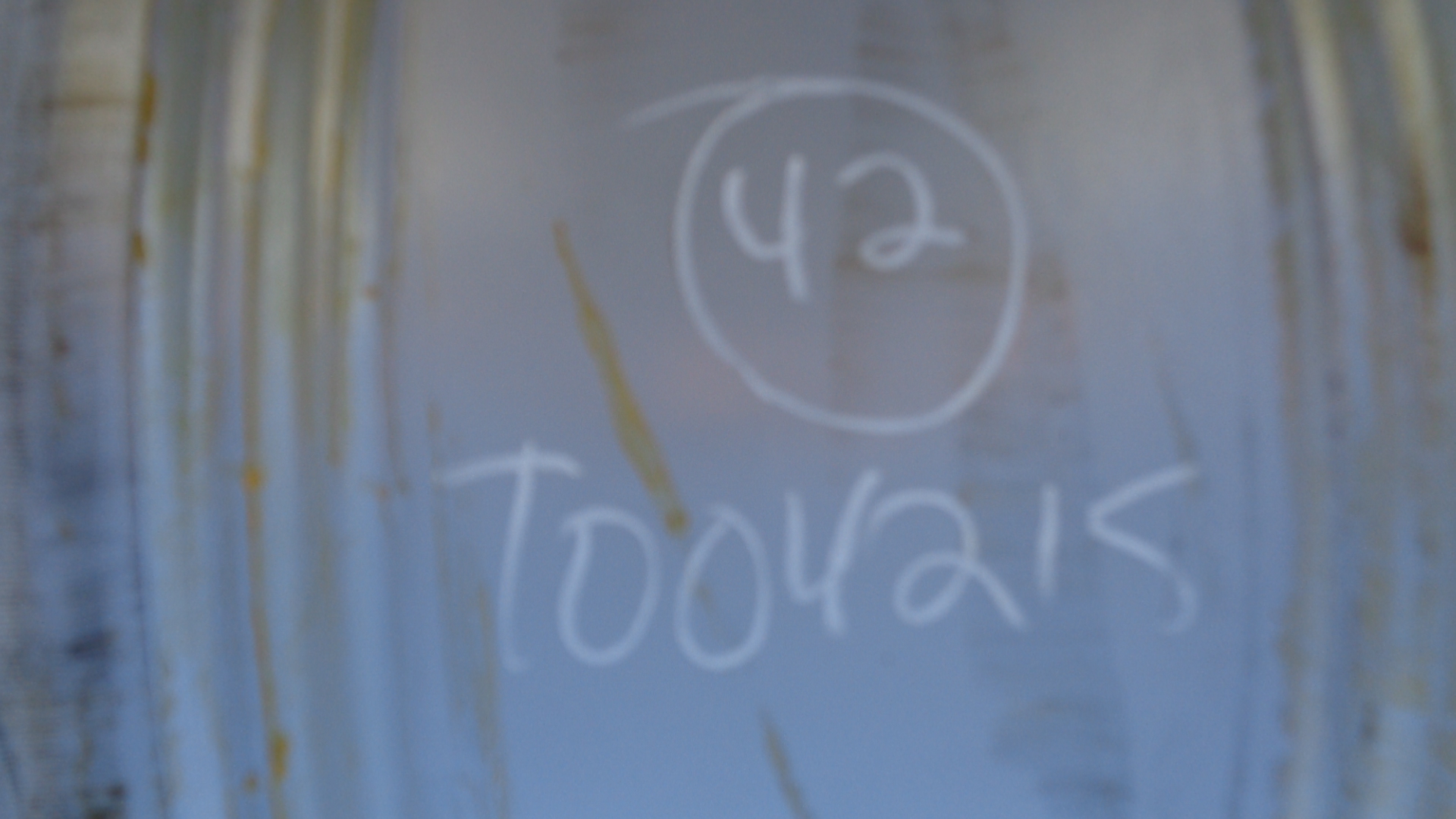 42''D x 23''W Formed Plate Wheel T004215