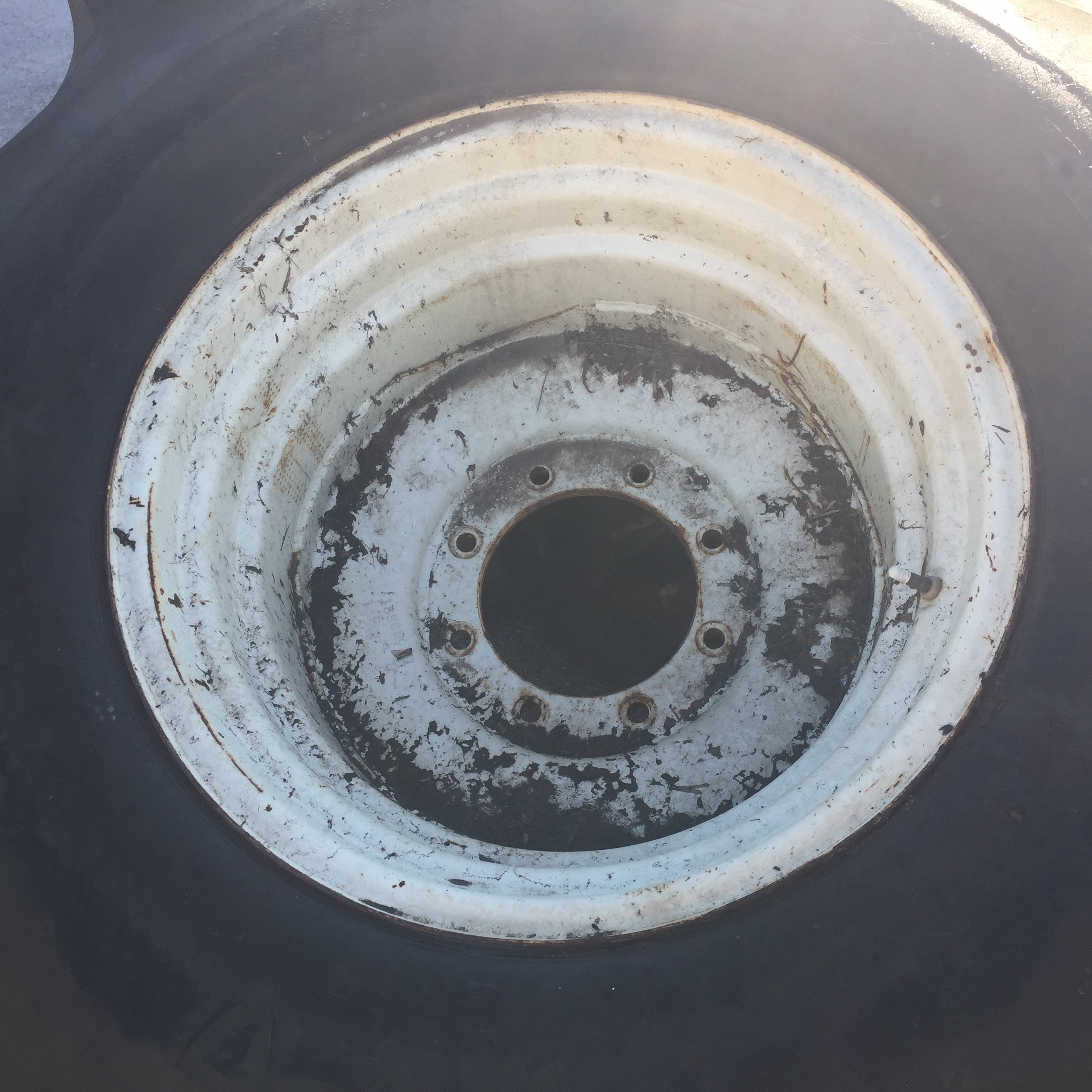 26''D x 21''W Formed Plate Wheel WT005013